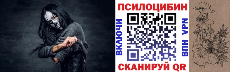 где купить наркотик  Юрьев-Польский  Галлюциногенные грибы Psilocybine cubensis 